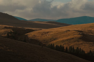 年度必看！这些电竞创意短片，有你的故事吗